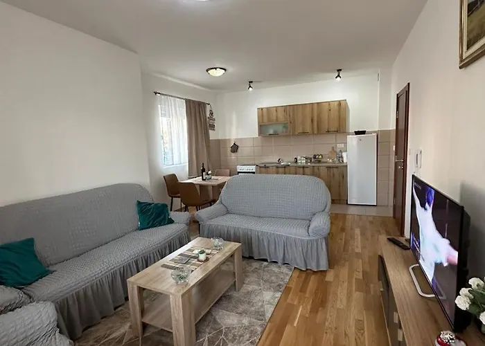 Roomy Lux Apartmant * Podgorica