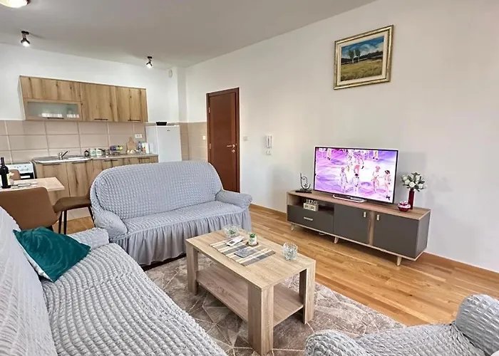 Roomy Lux Apartmant Appartement *