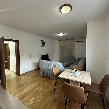 Roomy Lux Apartmant * Podgorica