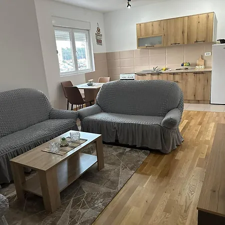 Roomy Lux Apartmant Apartment