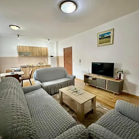 Roomy Lux Apartmant Apartment Podgorica