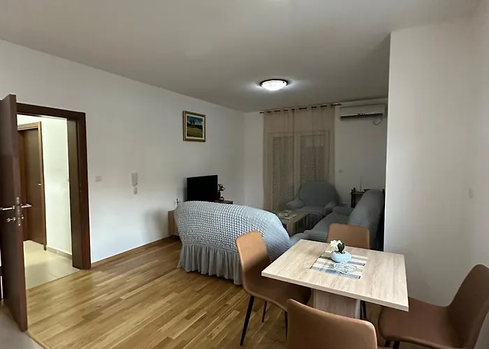 Roomy Lux Apartmant * Podgorica