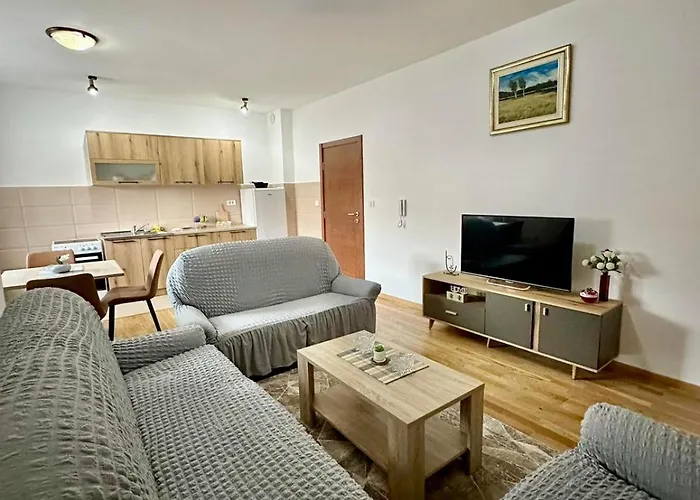 Roomy Lux Apartmant Apartment Podgorica