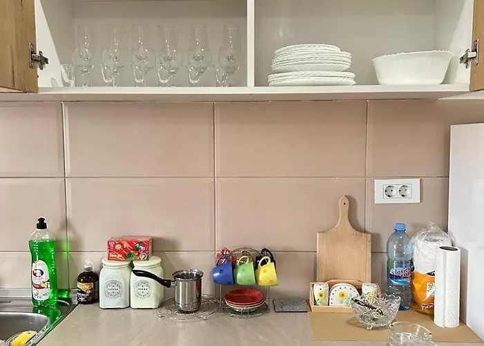 Roomy Lux Apartmant Podgorica